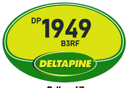 DP1949