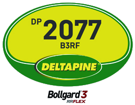 DP2077