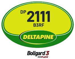 DP2111