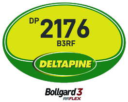 DP2176