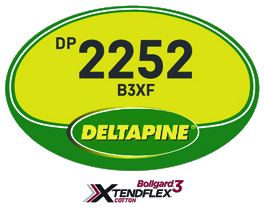DP2252