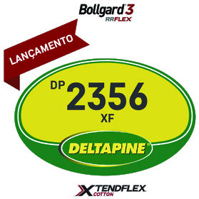 DP2356